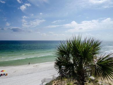 Seacrest Five Bedroom Beach Front Rental with Pool Seacrest Five Bedroom Beach Front Rental with Pool